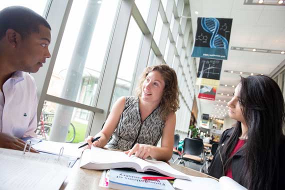 Furman professor meeting with students